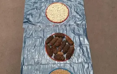 Sensoryczna ścieżka
