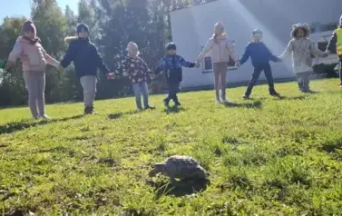 Dzieci obserwują spacer ż&oacute;łwia