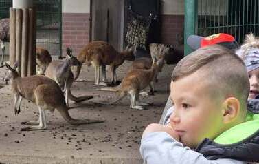 Dzieci zwiedzają zoo
