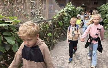 Dzieci zwiedzają zoo