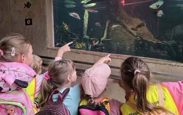 Dzieci zwiedzają zoo