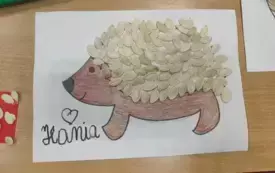 JEŻ HANI Z NASION DYNI.