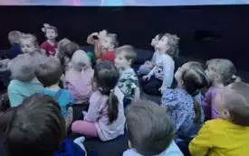 MOTYLKI I BIEDRONKI W KINIE SFERYCZNYM.