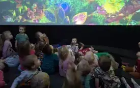 BIEDRONKI I MOTYLKI W KINIE SFERYCZNYM.