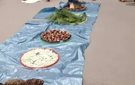 Dziecko przechodzi przez sensoryczną ścieżkę 