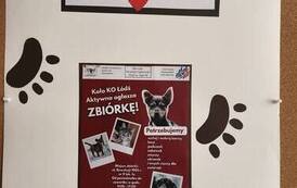 plakat zbi&oacute;rki