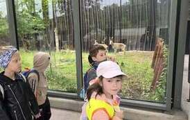 Dzieci zwiedzają zoo