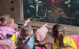 Dzieci zwiedzają zoo
