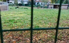 WIDOK NA STADNINĘ KONI