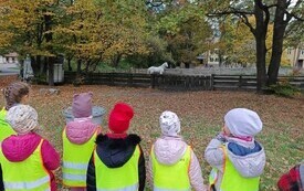 DZIECI OBSERWUJĄ KONIA NA WYBIEGU