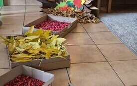 W PUDEŁKACH DARY JESIENI
