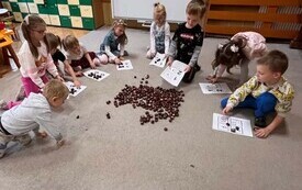 ZABAWY MATEMATYCZNE Z KASZTANAMI, UKŁADANIE KASZTAN&Oacute;W ZGODNIE Z LICZBĄ OCZEK 