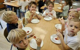 ZAJĄCZKI ZE SMAKIEM ZJADAJĄ SAMODZIELNIE PRZYGOTOWANE TOSTY