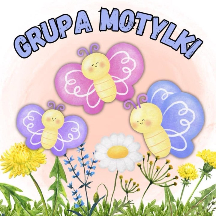 GRUPA MOTYLKI