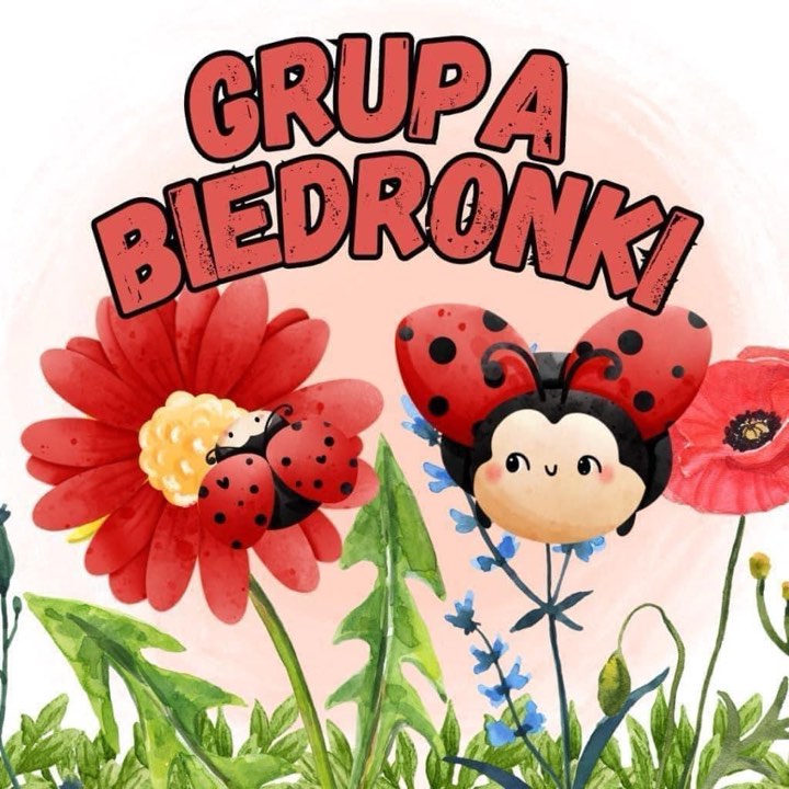 GRUPA BIEDRONKI