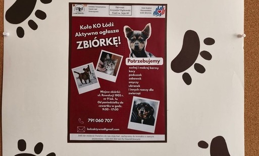 Plakat